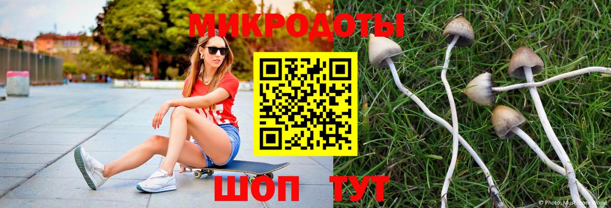 Ярцево  Псилоцибиновые грибы прущие грибы  Вход с VPN 